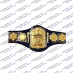 bruno sammartino wwe champion belt