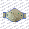 bruno sammartino championship belt