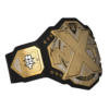 NXT CHAMPIONSHIP REPLICA TITLE
