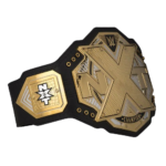 NXT CHAMPIONSHIP REPLICA TITLE
