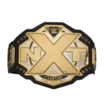 NXT Championship Commemorative Title Belt