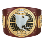 nxt north american championship belt