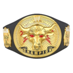 the rock brahma bull championship belt